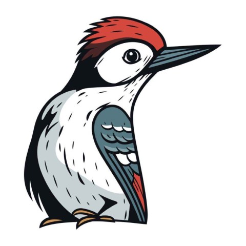 Dendrocopos major. Woodpecker vector illustration.