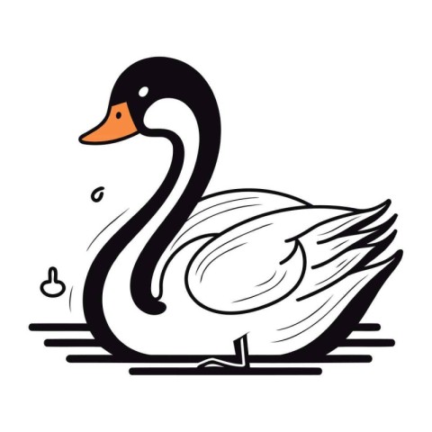 swan on a white background. vector illustration. eps10