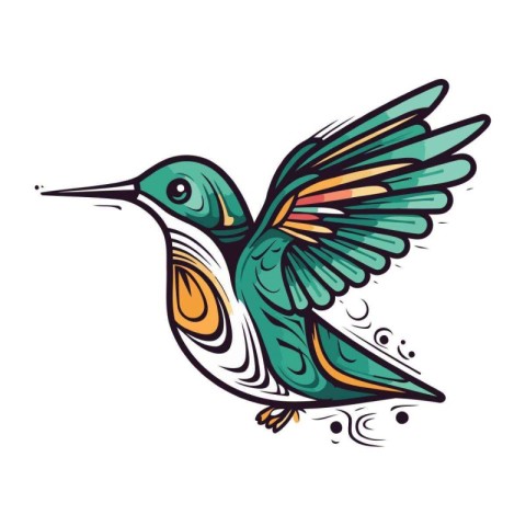 Hummingbird vector illustration. Isolated hummingbird on white b