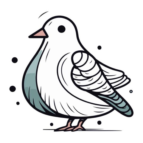 Pigeon vector illustration. Hand drawn doodle bird.