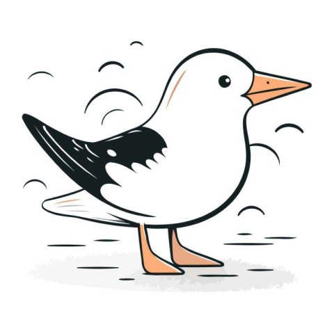 Seagull. Vector illustration of a bird on a white background.