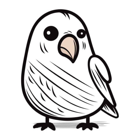 Vector illustration of a cute cartoon parrot isolated on white b