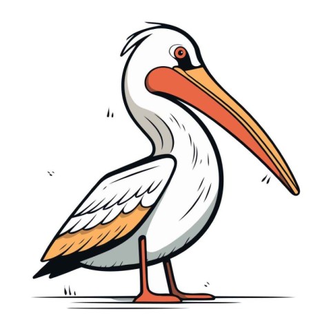 Pelican vector illustration on white background. Cartoon pelican