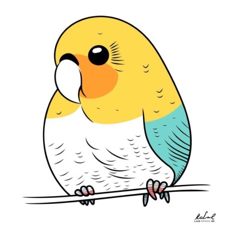 Budgerigar. Vector illustration of a cute bird.