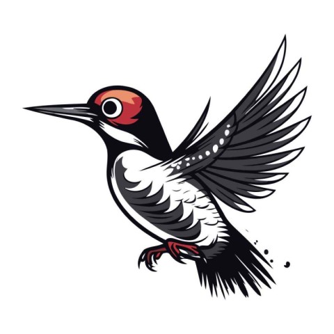 Black headed Woodpecker on white background. Vector illustration