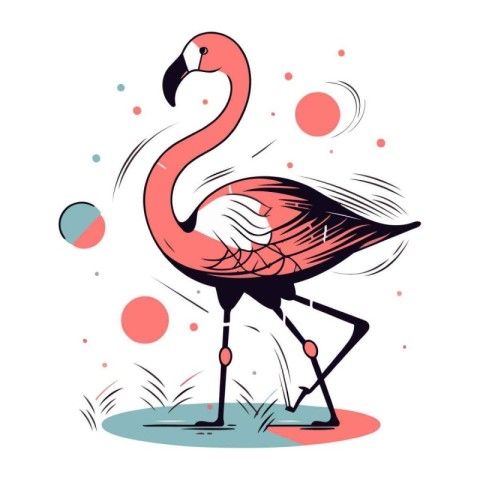 Flamingo. Vector illustration. Isolated on white background.