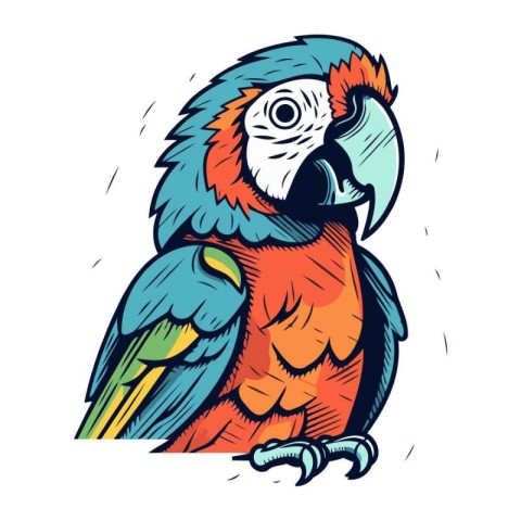 Colorful parrot isolated on a white background. Vector illustrat