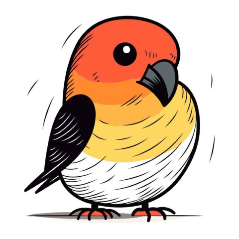 Vector illustration of a red and yellow bird on a white backgrou