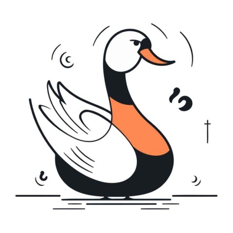 Vector illustration of a swan. Black and white swan.