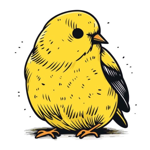 Vector illustration of a cute little yellow bird on a white back