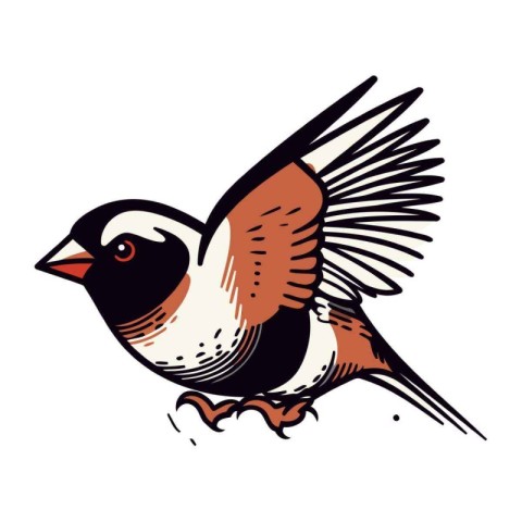 Bullfinch bird. Hand drawn vector illustration isolated on white