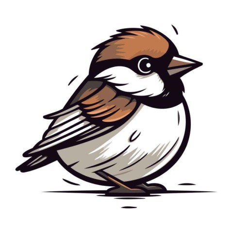 Illustration of a sparrow on a white background. Vector illustra