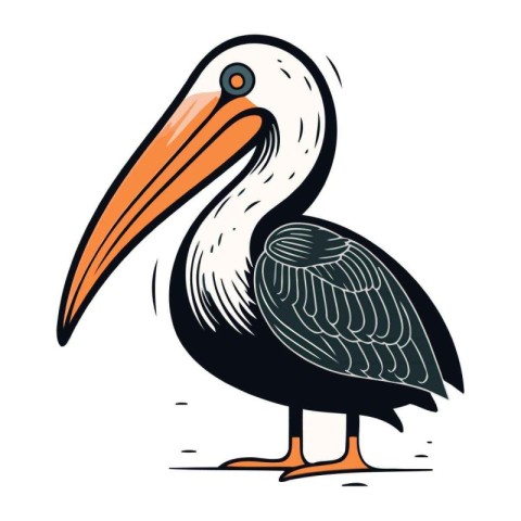 Pelican isolated on white background. Hand drawn vector illustra