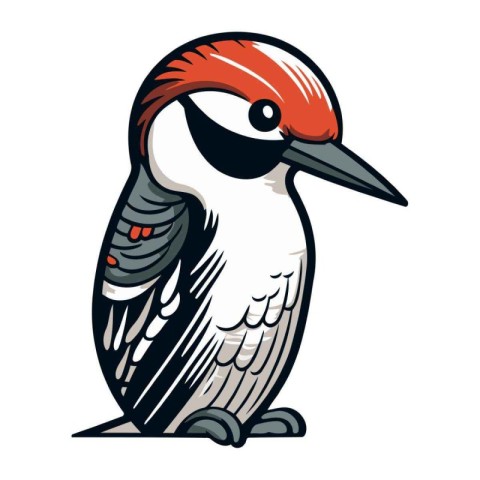 Woodpecker vector illustration isolated on white background. Woo