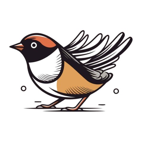 Bullfinch bird. Hand drawn vector illustration isolated on white