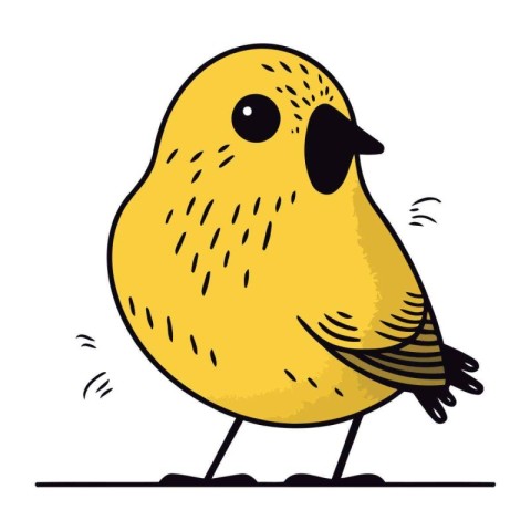 Vector illustration of a cute little yellow bird on a white back