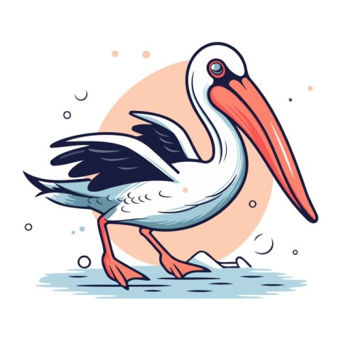 Pelican. Vector illustration of a pelican on a white background.