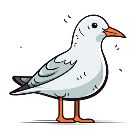 Vector illustration of a seagull isolated on a white background.