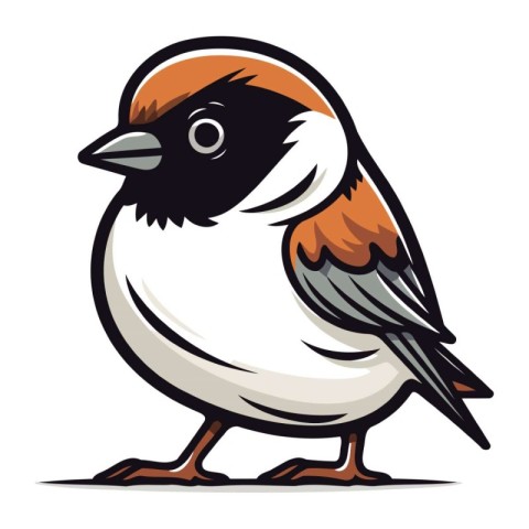 Sparrow bird isolated on a white background. Vector illustration