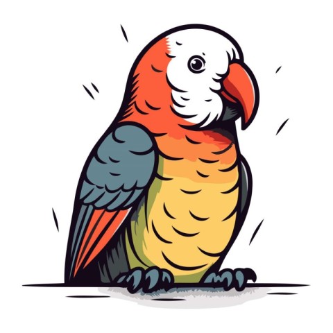 Parrot isolated on white background. Vector illustration in sket