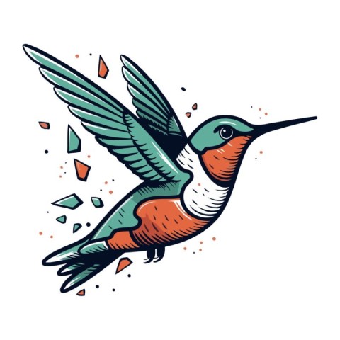 Hummingbird colorful vector illustration. Hand drawn doodle styl