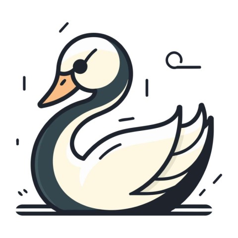 Vector illustration of a swan on a white background. Vector illu