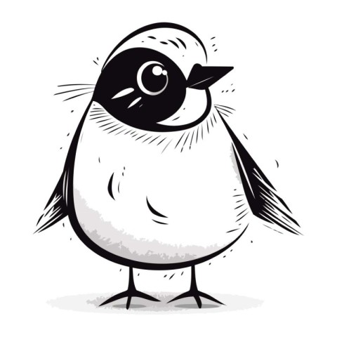 Black and white vector illustration of cute cartoon penguin isol