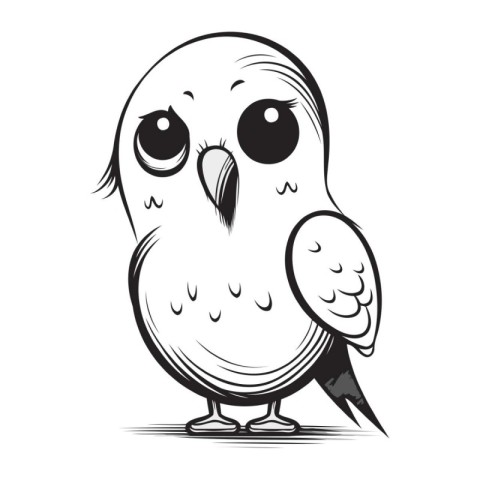 Owl head vector illustration isolated on white background. Cute