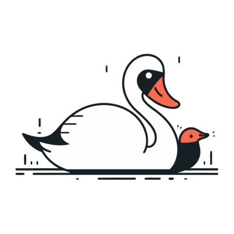 Swan and duckling on white background. Vector illustration in fl