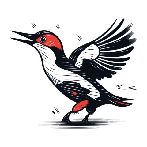 Woodpecker vector illustration. Hand drawn woodpecker bird.