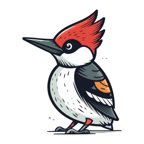 Woodpecker cartoon vector illustration. Hand drawn bird isolated