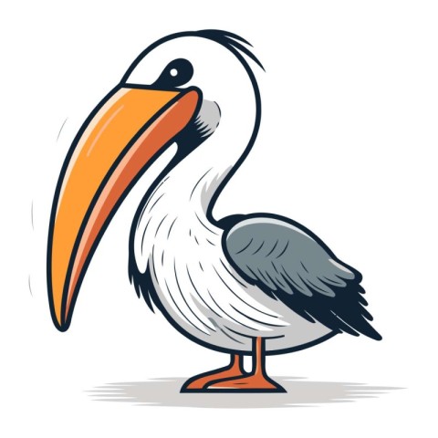 Pelican vector illustration. isolated on white background. Carto