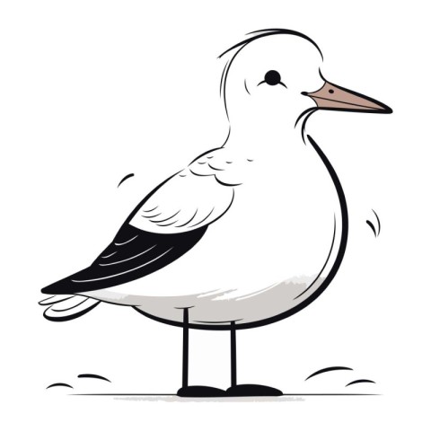 Seagull on a white background. Vector illustration in cartoon st