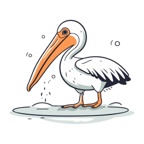 Pelican vector illustration. Hand drawn cartoon pelican isolated