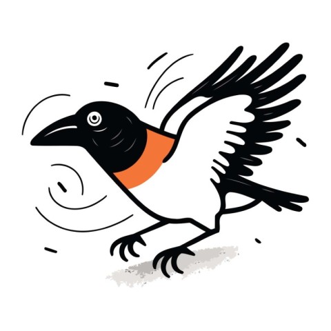 Crow flying on a white background. Vector illustration of a bird