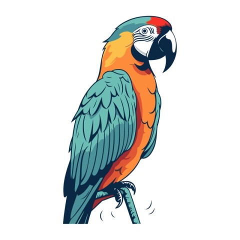 Parrot isolated on white background. Vector illustration in cart