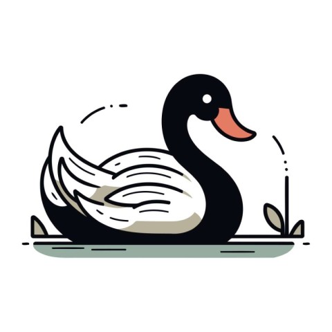 Vector illustration of a swan on a white background. Black swan.