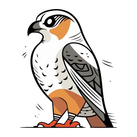 Vector illustration of a hawk on a white background. Cartoon sty