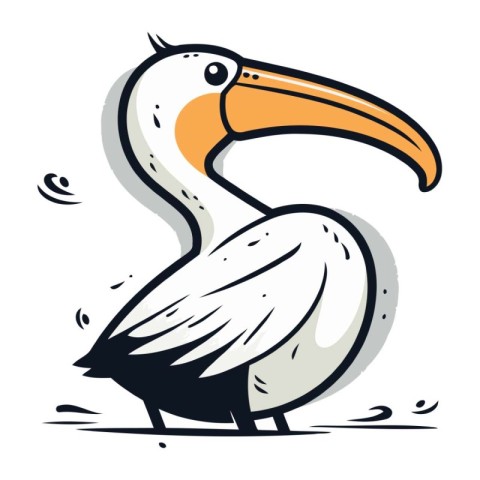 Pelican. Hand drawn vector illustration. Isolated on white backg