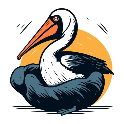 Pelican vector illustration. Hand drawn pelican isolated on whit