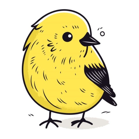 Cute little bird. Vector illustration of a cute little bird.