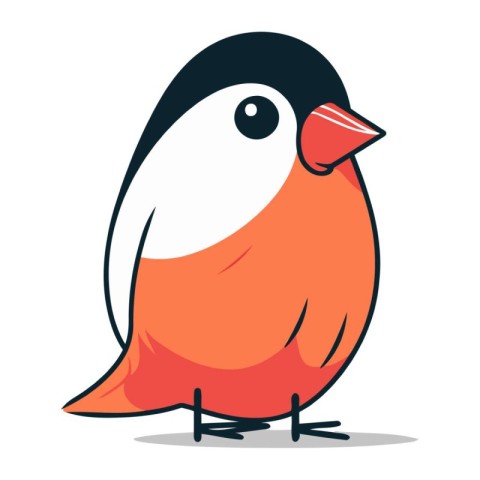 Bullfinch bird isolated on a white background. Vector illustrati