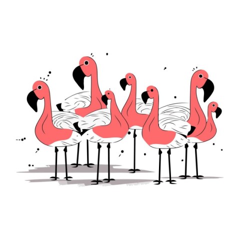 Flamingo. Vector illustration on white background. Cartoon style