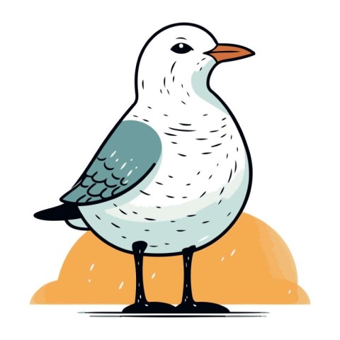 Seagull. Vector illustration of a bird on a white background.