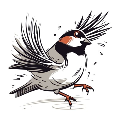 Bullfinch bird. Vector illustration of a bullfinch.