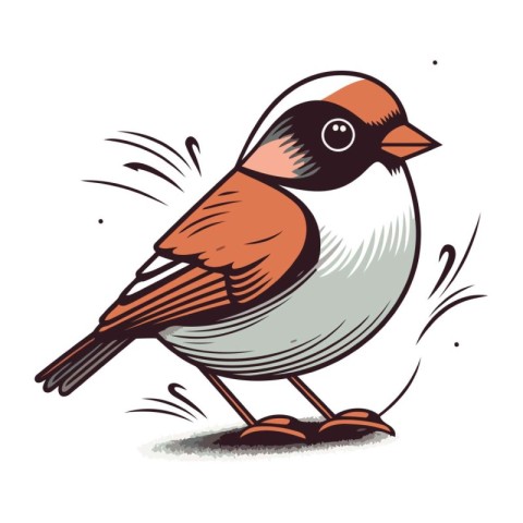 Bullfinch on a white background. Vector illustration for your de