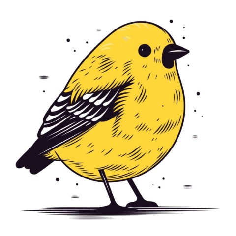 Vector illustration of a cute little yellow bird on a white back