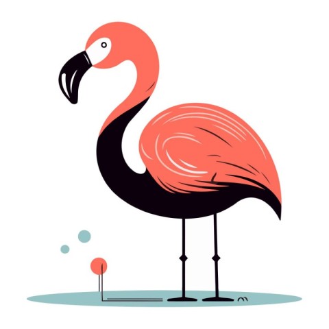 Flamingo. Vector illustration. Isolated on white background.