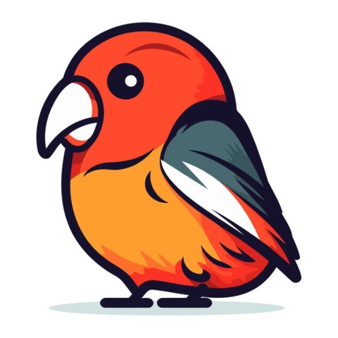 Bullfinch vector illustration. Isolated bullfinch on white backg