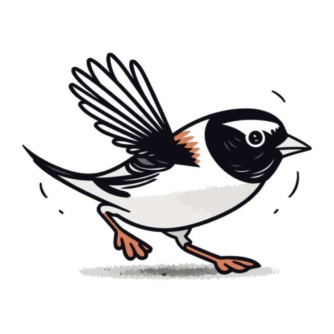 Sparrow on white background. Vector illustration of a bird.